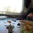 granola_thief