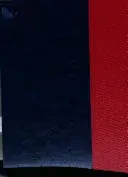 潮