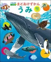 うみ（英語つき）