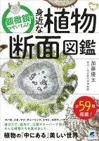 顕微鏡でのぞいてみた 身近な植物断面図鑑