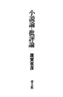小說論