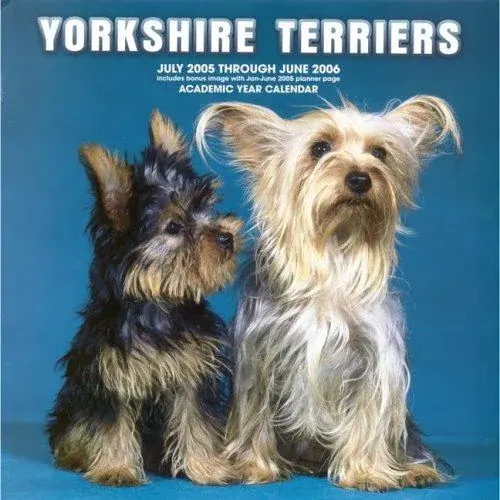 Yorkshire Terriers 2005-2006 Academic Wall Calendar