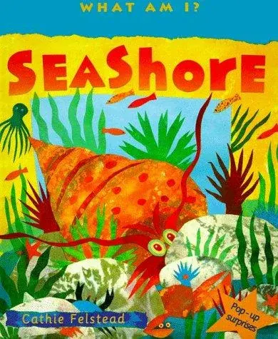 Seashore