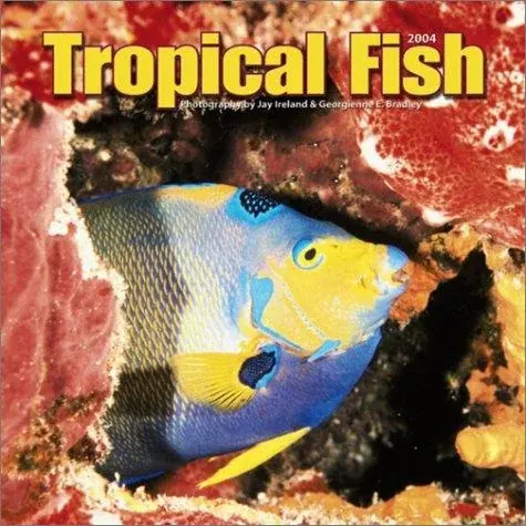 Tropical Fish 2004 Calendar