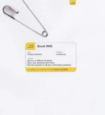 Excel 2002