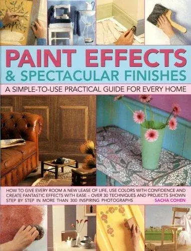 Paint Effects & Spectacular Finishes: a simple-to-use prac guide for every home