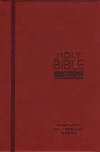 Today's NIV Personal Bible (Bible Tniv)